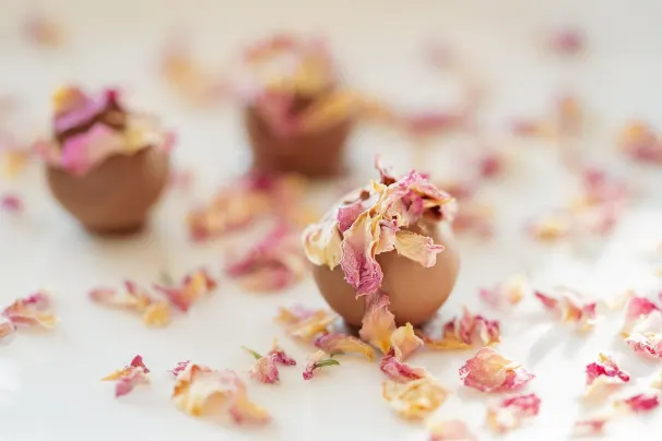 Kazino Sun Palace Android/iOS programa